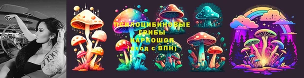 молекула духа Беломорск