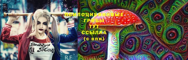 молекула духа Беломорск