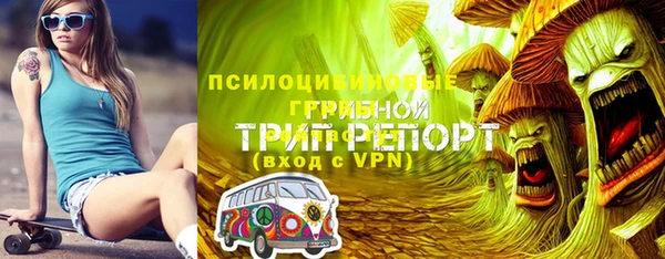 прущий лед Белокуриха