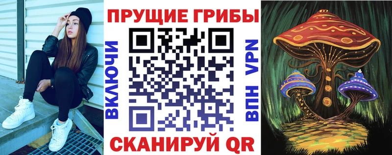 Галлюциногенные грибы Psilocybine cubensis Холм