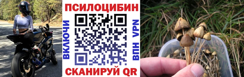 OMG зеркало Холм Галлюциногенные грибы Cubensis даркнет сайт